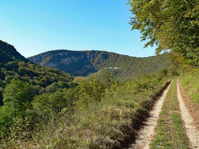 [Chemin de Tremont]